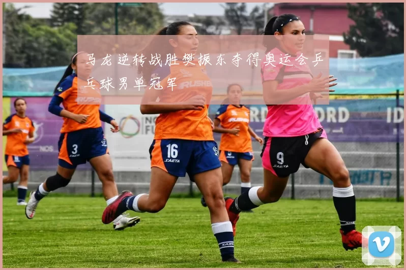 马龙逆转战胜樊振东夺得奥运会乒乓球男单冠军