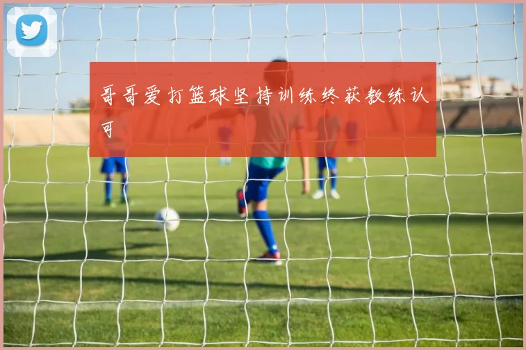 哥哥爱打篮球坚持训练终获教练认可